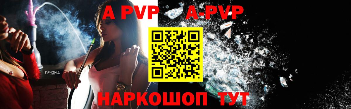 Альфа ПВП СК КРИС Новозыбков